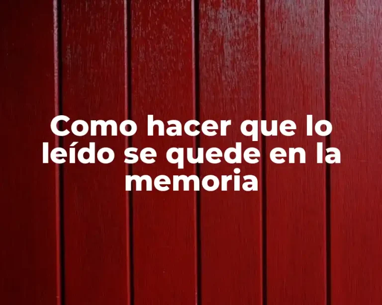 Como hacer que lo leído se quede en la memoria