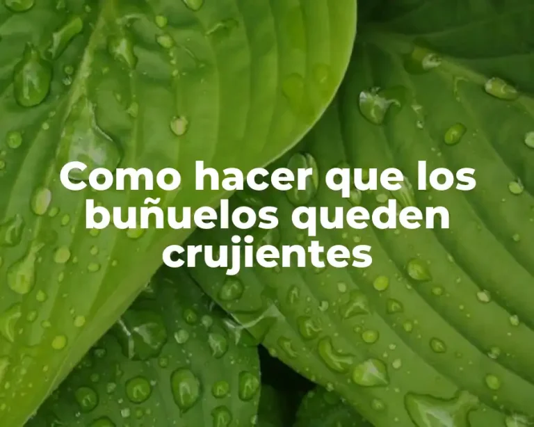 Como hacer que los buñuelos queden crujientes
