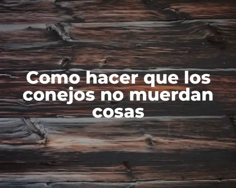 Como hacer que los conejos no muerdan cosas