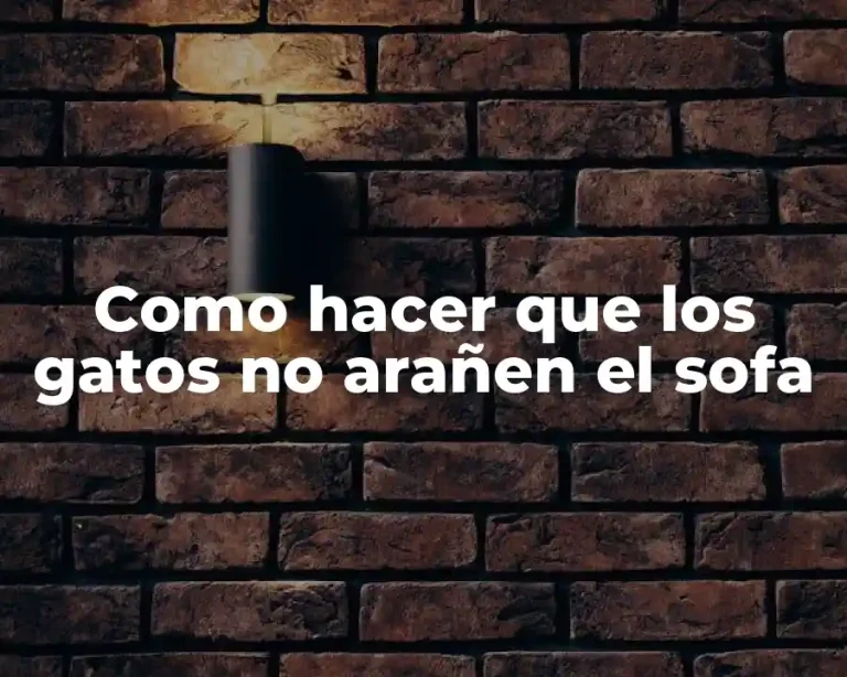 Como hacer que los gatos no arañen el sofa