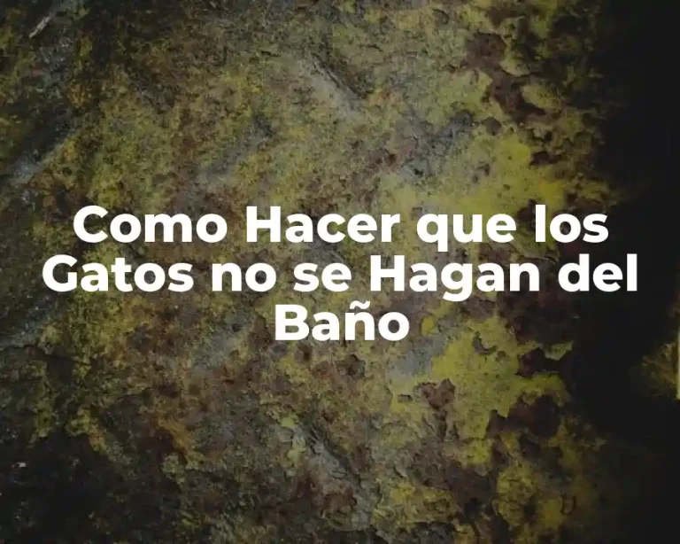 Como Hacer que los Gatos no se Hagan del Baño