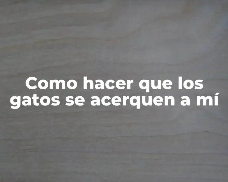 Como hacer que los gatos se acerquen a mí