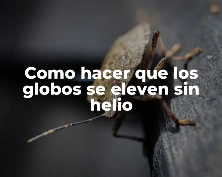 Como hacer que los globos se eleven sin helio