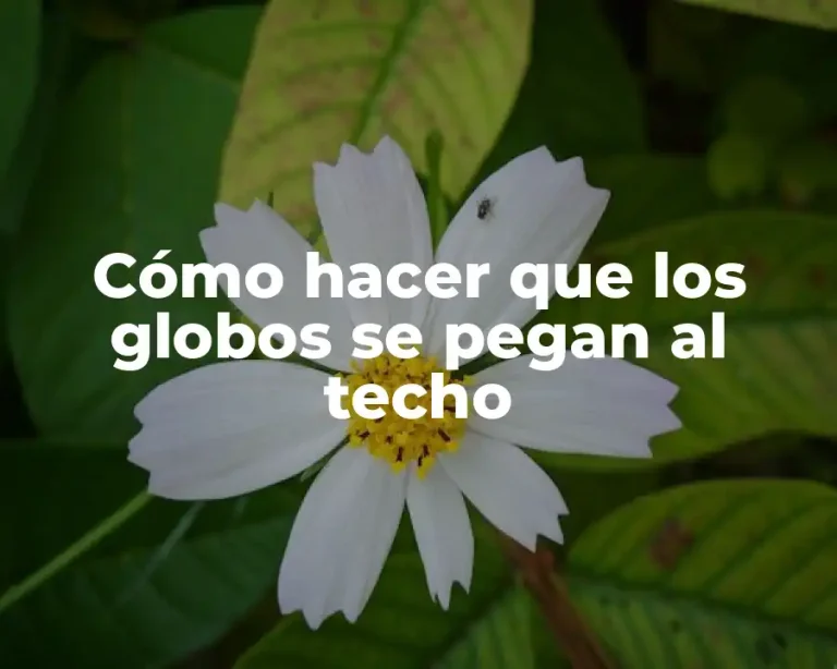 Cómo hacer que los globos se pegan al techo