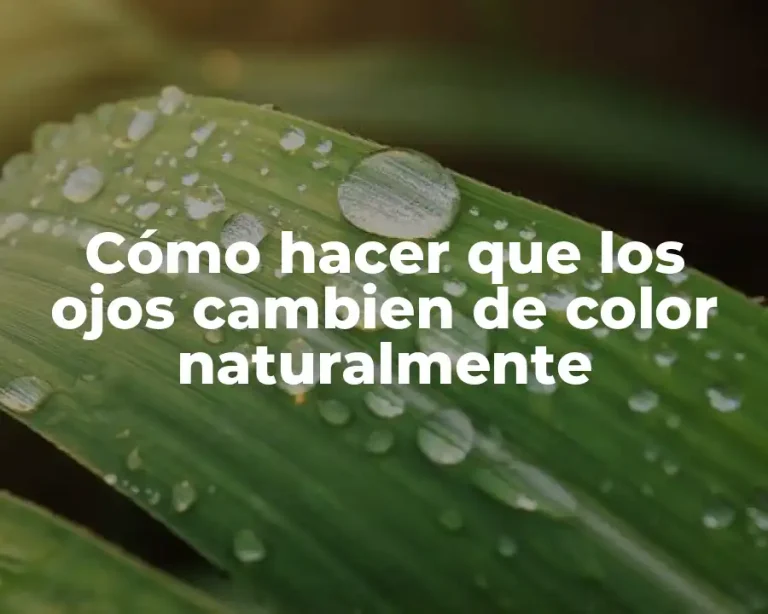 Cómo hacer que los ojos cambien de color naturalmente