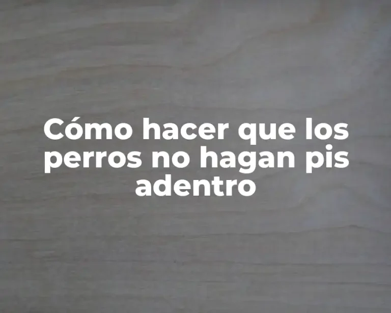 Cómo hacer que los perros no hagan pis adentro