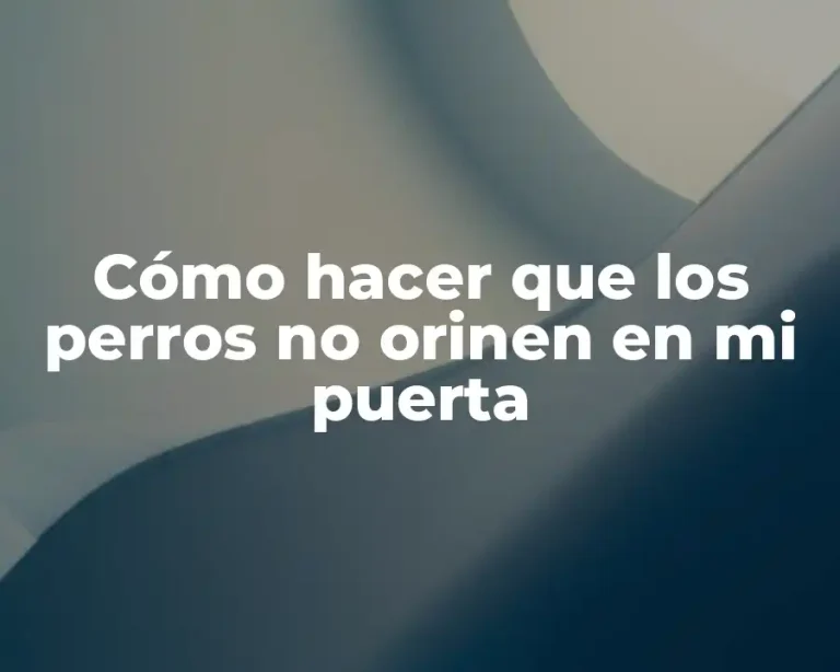 Cómo hacer que los perros no orinen en mi puerta