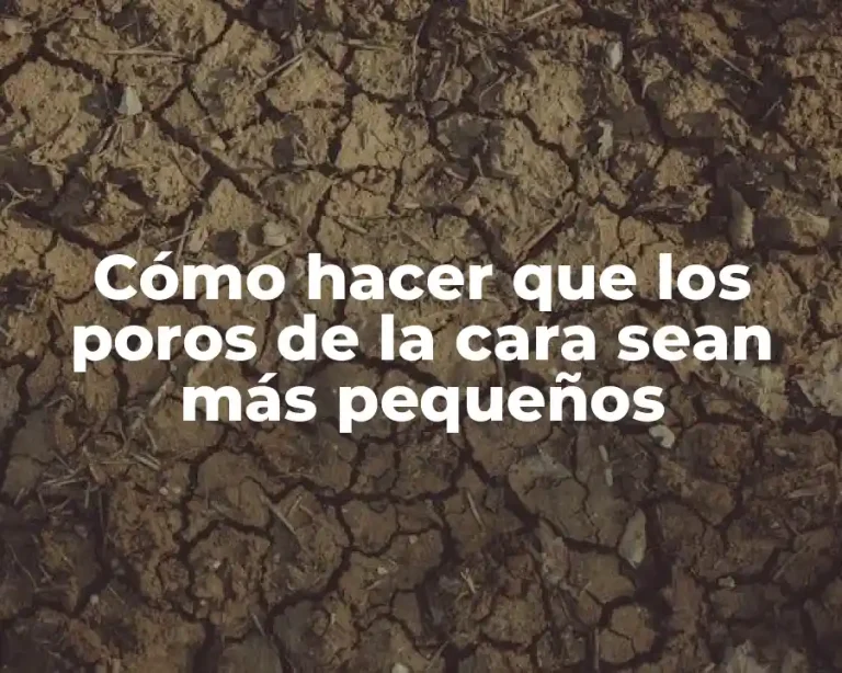 Cómo hacer que los poros de la cara sean más pequeños