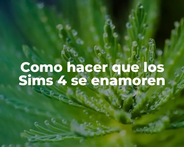 Como hacer que los Sims 4 se enamoren