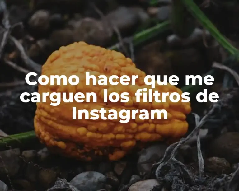 Como hacer que me carguen los filtros de Instagram