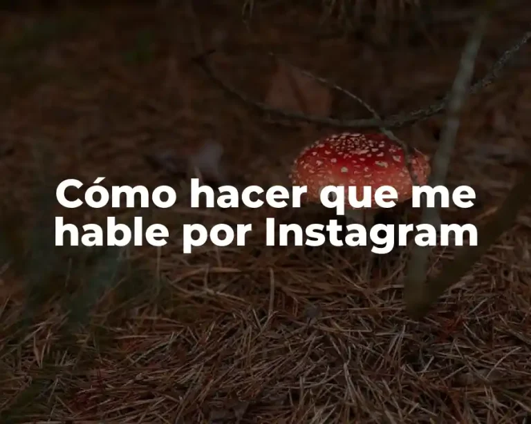 Cómo hacer que me hable por Instagram