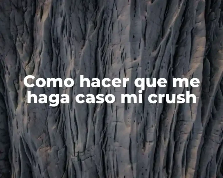 Como hacer que me haga caso mi crush