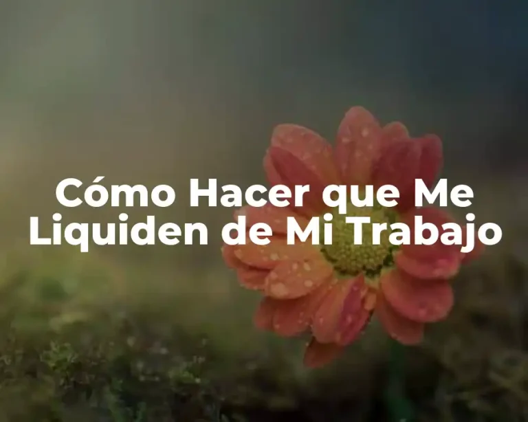 Cómo Hacer que Me Liquiden de Mi Trabajo