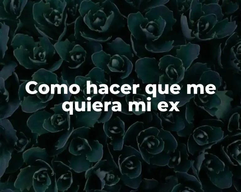 Como hacer que me quiera mi ex