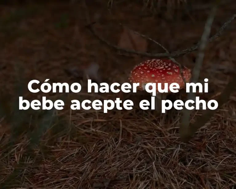 Cómo hacer que mi bebe acepte el pecho