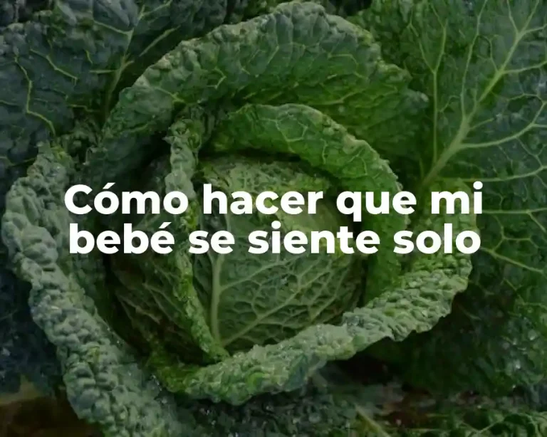 Cómo hacer que mi bebé se siente solo