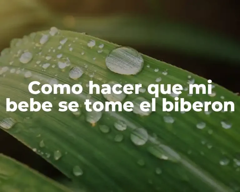 Como hacer que mi bebe se tome el biberon