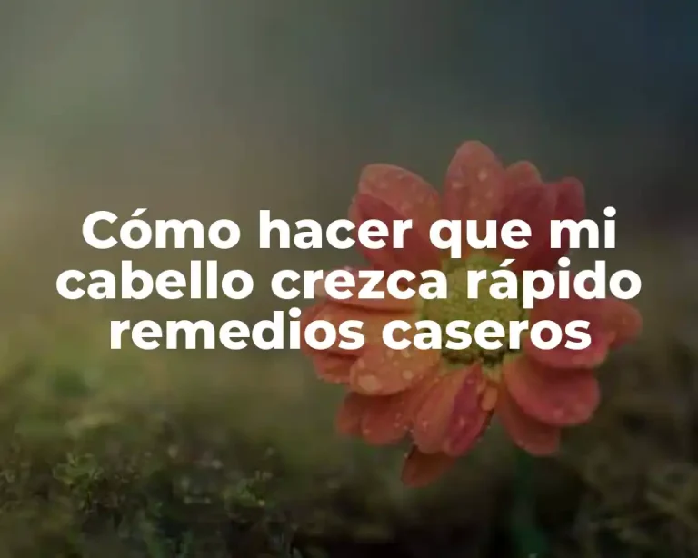 Cómo hacer que mi cabello crezca rápido remedios caseros