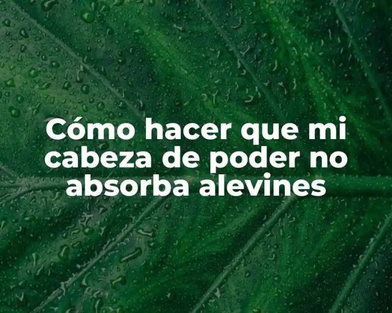 Cómo hacer que mi cabeza de poder no absorba alevines