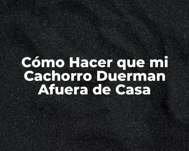 Cómo Hacer que mi Cachorro Duerman Afuera de Casa