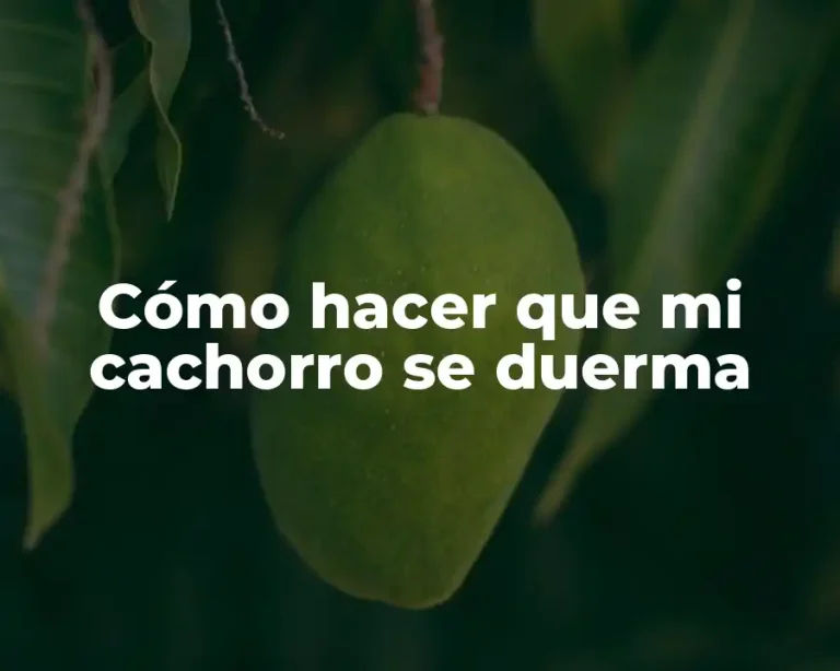 Cómo hacer que mi cachorro se duerma