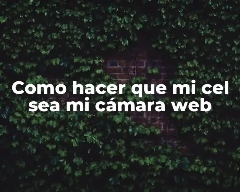 Como hacer que mi cel sea mi cámara web