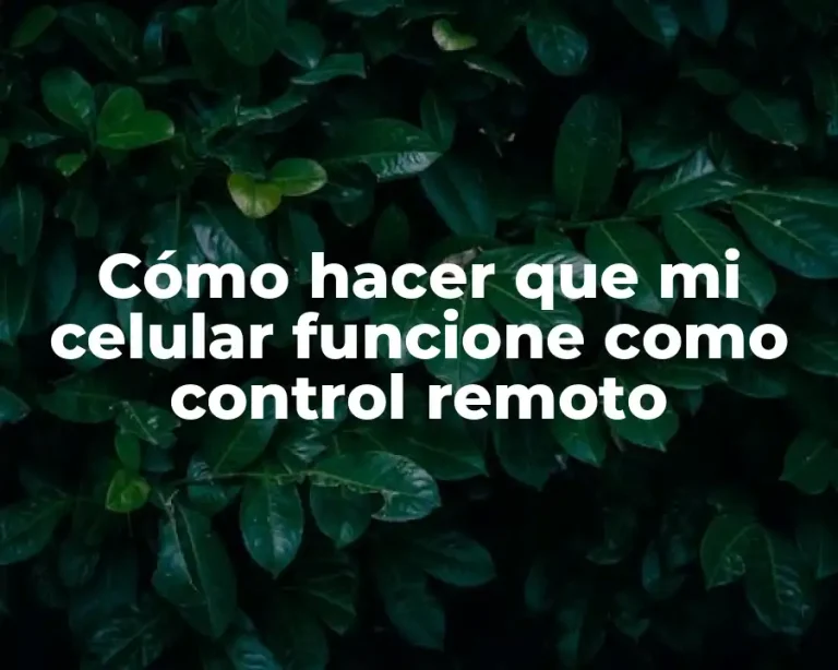 Cómo hacer que mi celular funcione como control remoto
