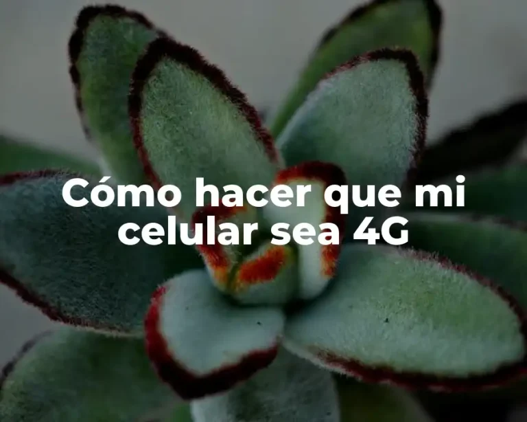Cómo hacer que mi celular sea 4G