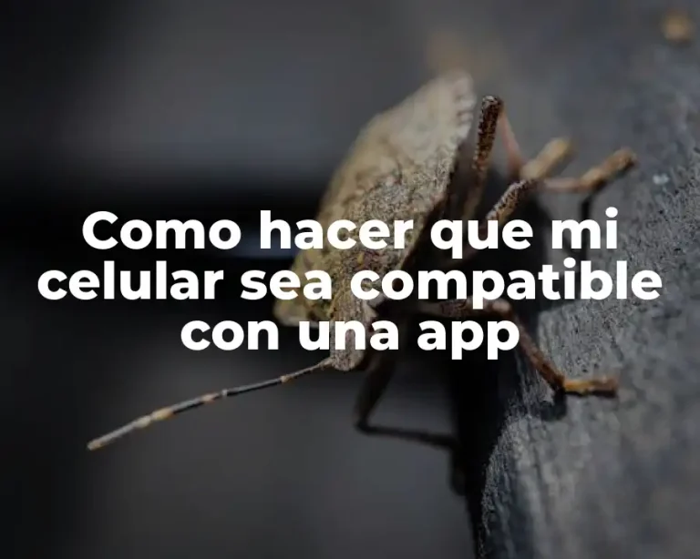 Como hacer que mi celular sea compatible con una app
