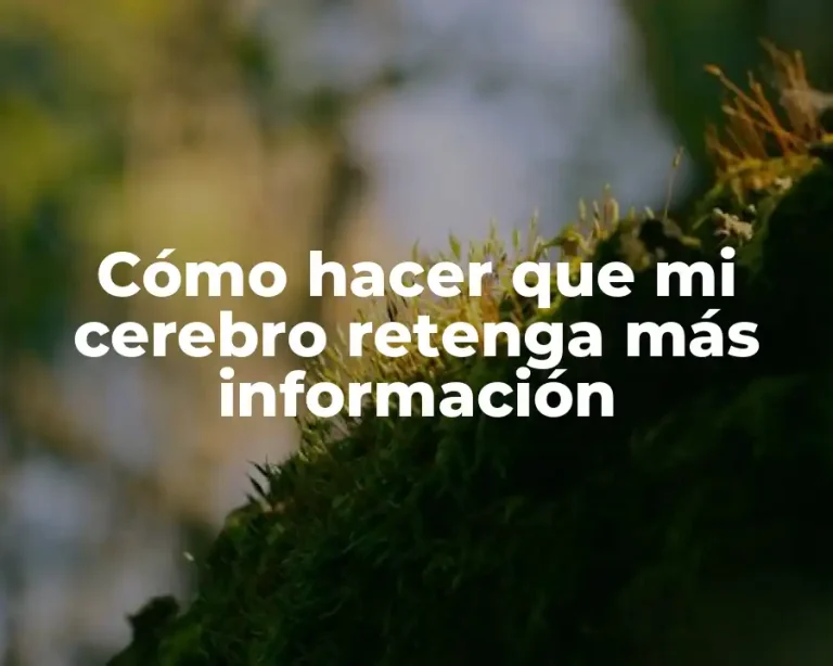 Cómo hacer que mi cerebro retenga más información