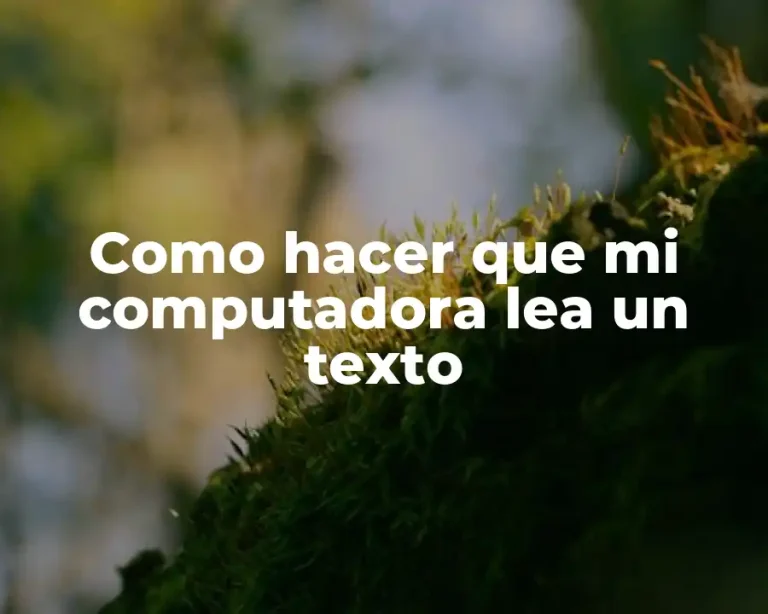 Como hacer que mi computadora lea un texto