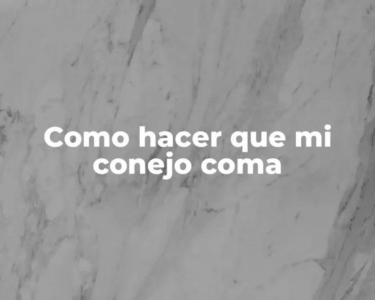 Como hacer que mi conejo coma