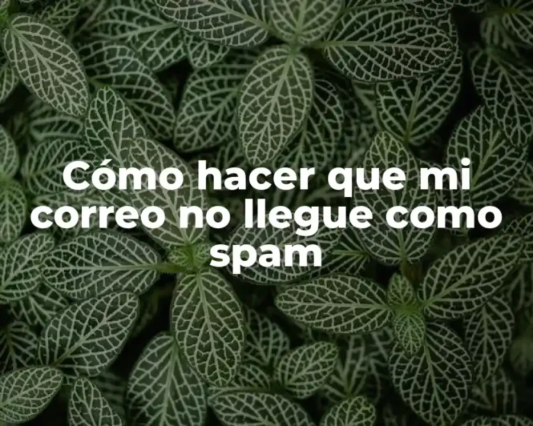 Cómo hacer que mi correo no llegue como spam