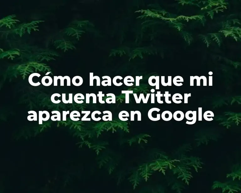 Cómo hacer que mi cuenta Twitter aparezca en Google