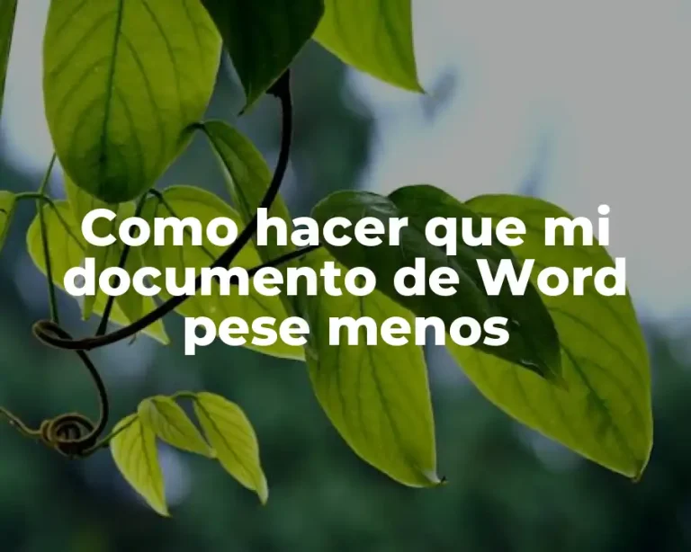 Como hacer que mi documento de Word pese menos