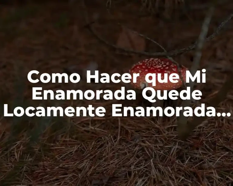 Como Hacer que Mi Enamorada Quede Locamente Enamorada de Mí