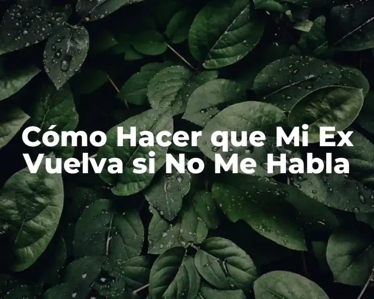 Cómo Hacer que Mi Ex Vuelva si No Me Habla