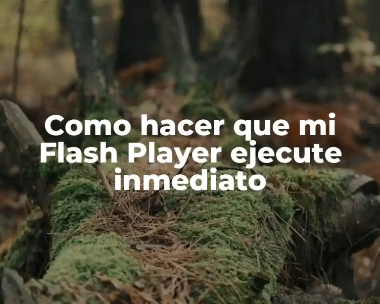 Como hacer que mi Flash Player ejecute inmediato