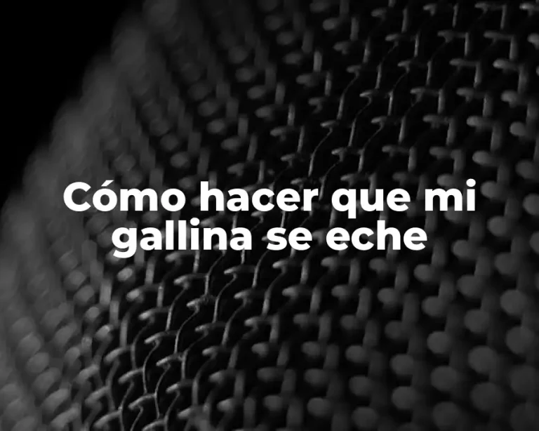 Cómo hacer que mi gallina se eche