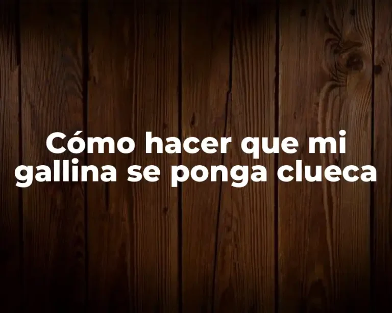 Cómo hacer que mi gallina se ponga clueca