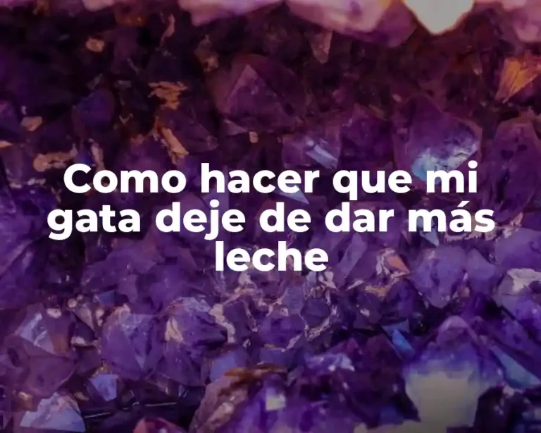 Como hacer que mi gata deje de dar más leche