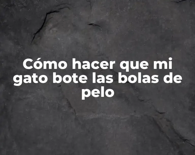 Cómo hacer que mi gato bote las bolas de pelo