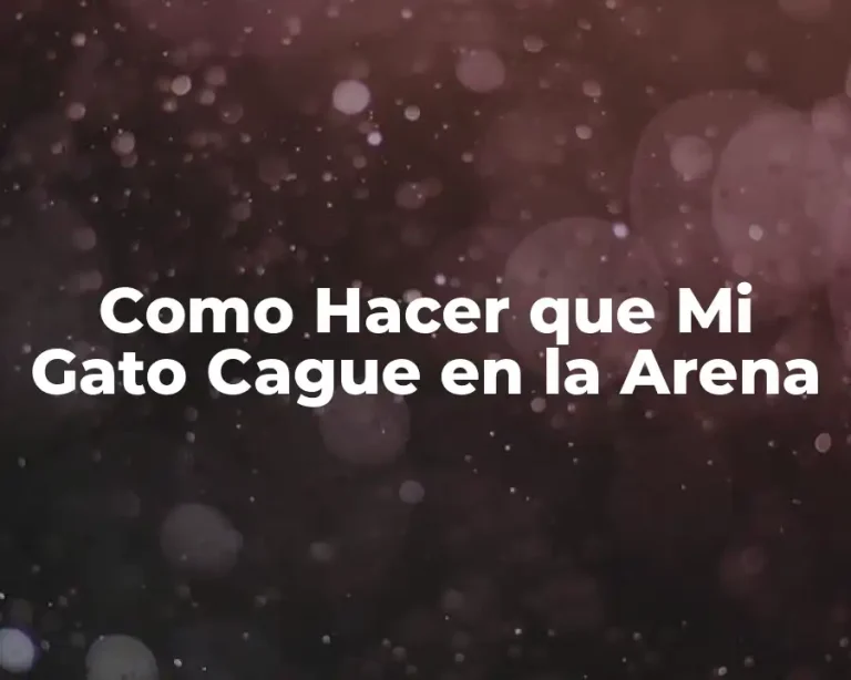 Como Hacer que Mi Gato Cague en la Arena