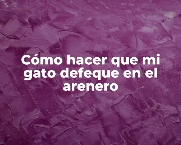 Cómo hacer que mi gato defeque en el arenero