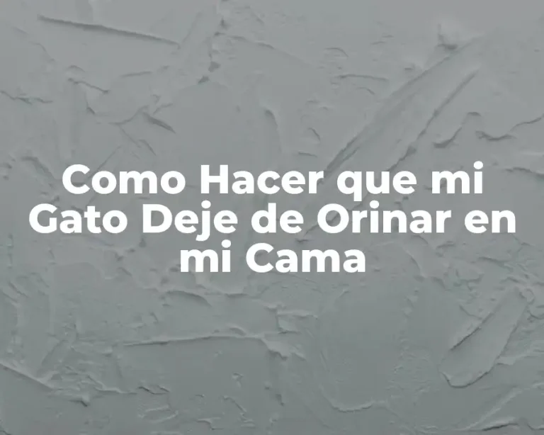 Como Hacer que mi Gato Deje de Orinar en mi Cama