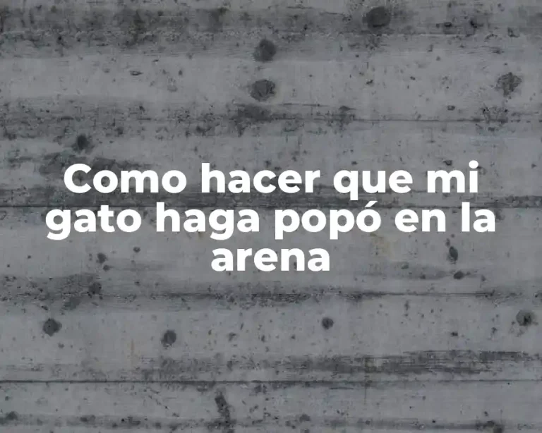 Como hacer que mi gato haga popó en la arena