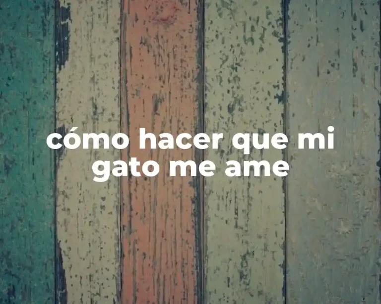 cómo hacer que mi gato me ame