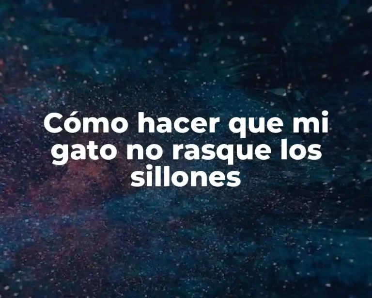 Cómo hacer que mi gato no rasque los sillones