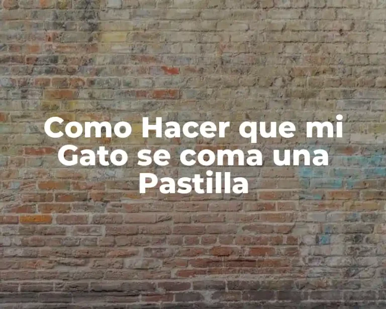 Como Hacer que mi Gato se coma una Pastilla