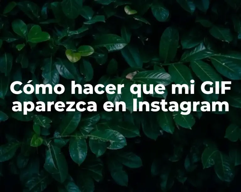 Cómo hacer que mi GIF aparezca en Instagram